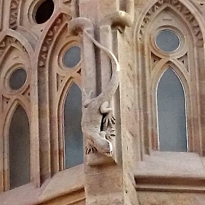 �T�O���_�E�t�@�~���A �g�J�Q �}�O�l�b�g �A���g�j�E�K�E�f�B �X�y�C���E�o���Z���i