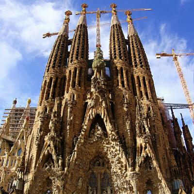 �T�O���_�E�t�@�~���A �K�E�f�B �o���Z���i �X�y�C��