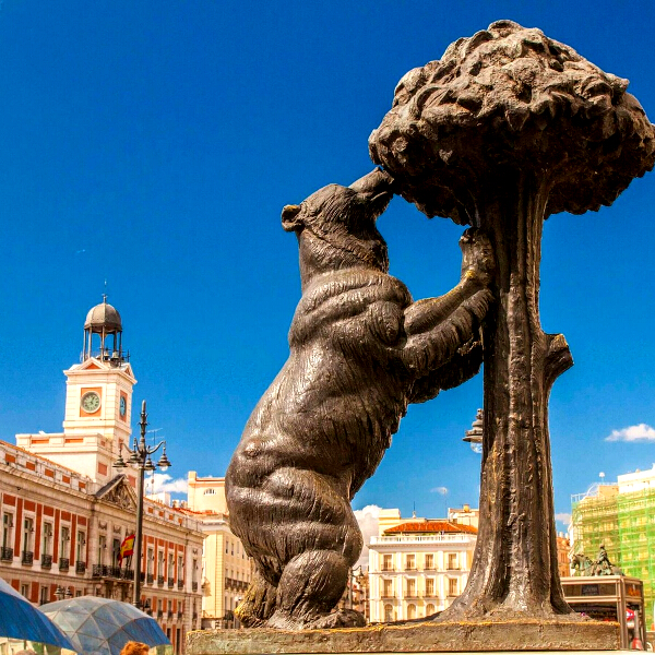 �X�y�C�� �}�h���[�h �N�}�ƃC�`�S�̖� �L�[�z���_�[ ���y�Y ���{������